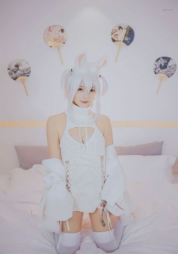 青城缘电视剧全集免费观看