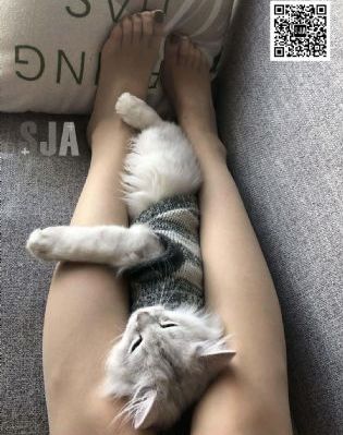 泰剧情链
