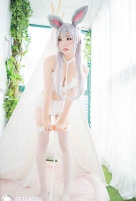 电影扫黑行动