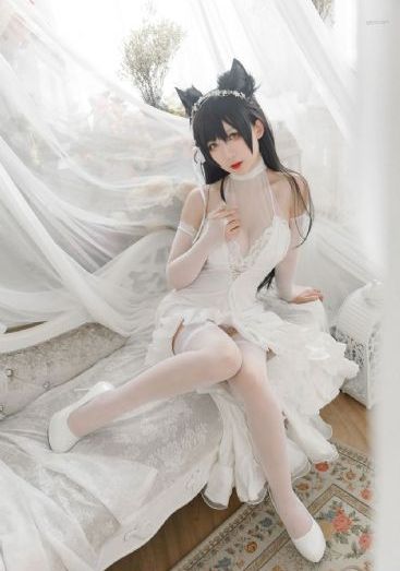 竹升妹之以牙还牙完整版免费观看