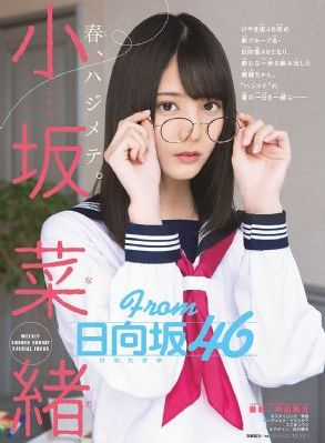 美国派在线