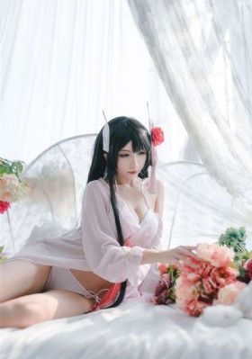 素食主义者