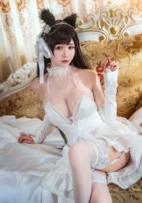 云之羽电视剧免费观看完整版